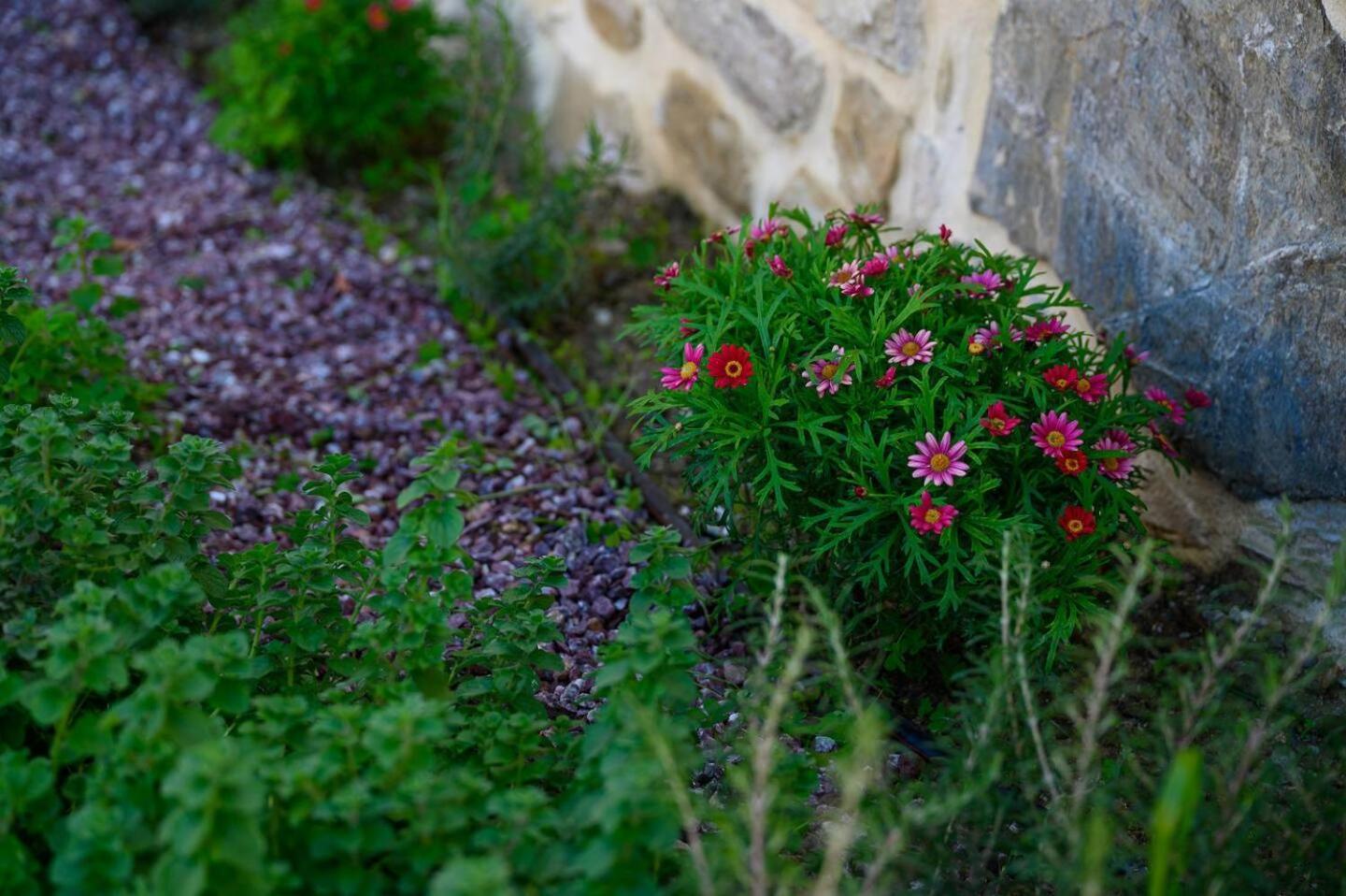 Physis Country House Near Matala Beach & Faistos Kouses 외부 사진